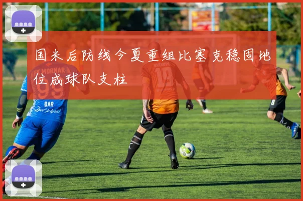国米后防线今夏重组比塞克稳固地位成球队支柱