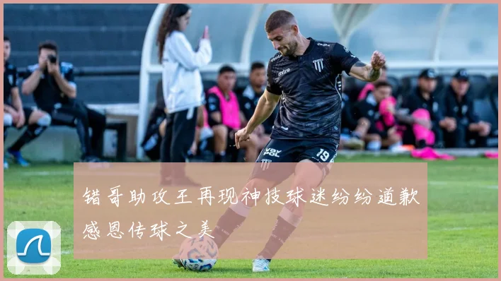 错哥助攻王再现神技球迷纷纷道歉感恩传球之美